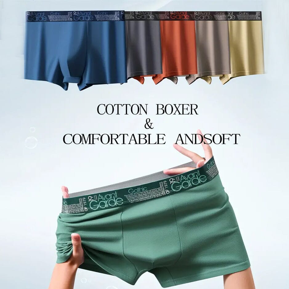 5-Pack: Plus Size Men's Boxer Briefs