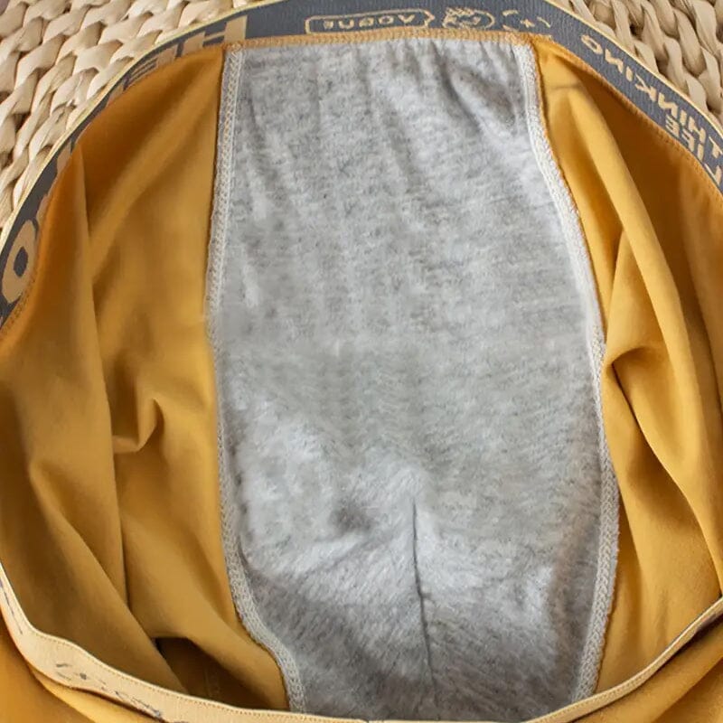 5-Pack: Plus Size Men's Boxer Briefs