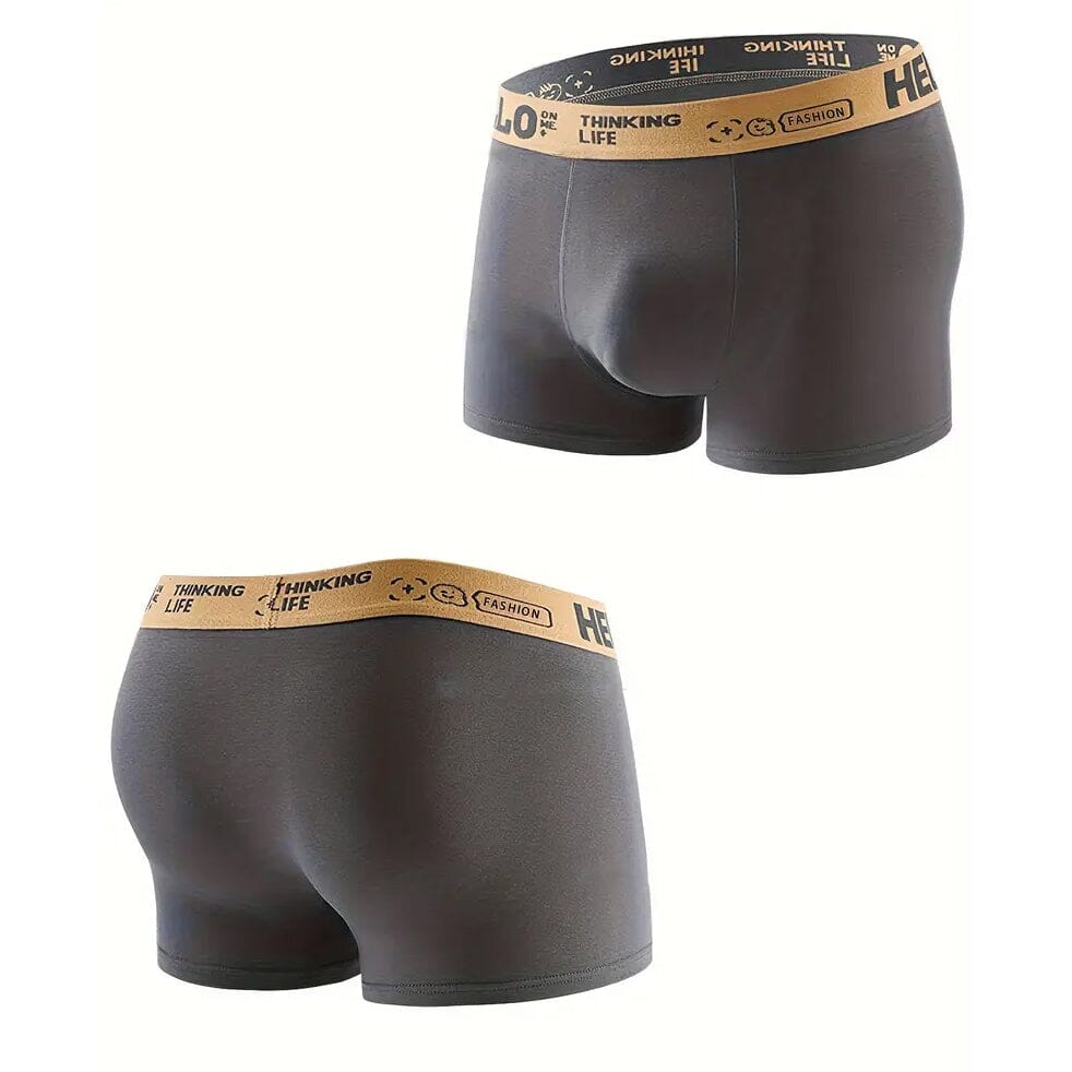 5-Pack: Plus Size Men's Boxer Briefs